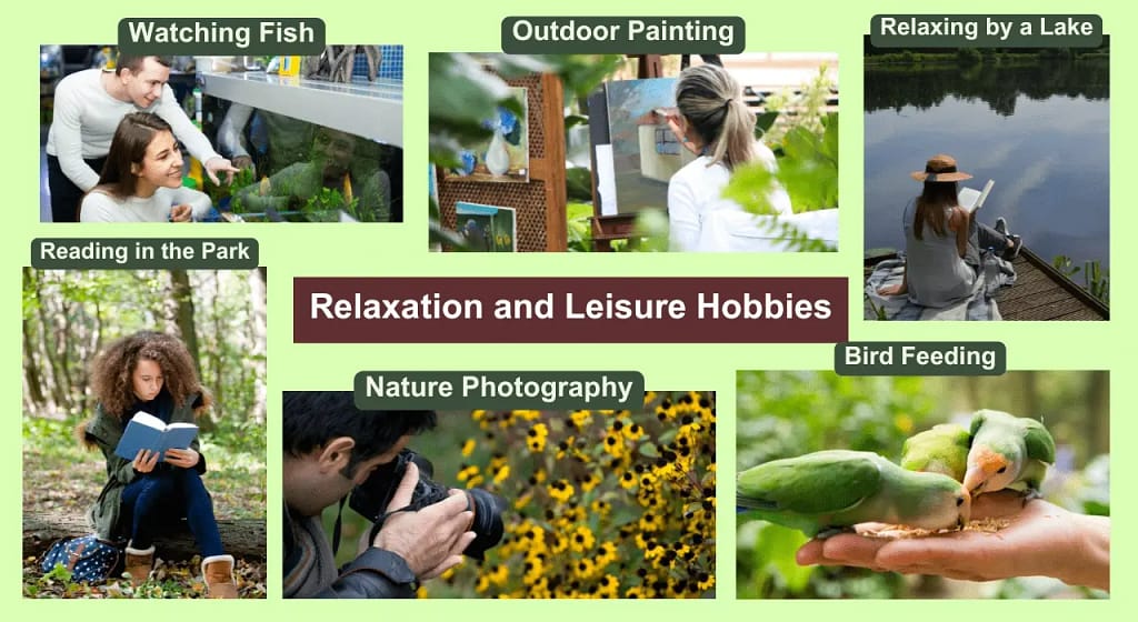 Relaxation and Leisure Outdoor Hobbies