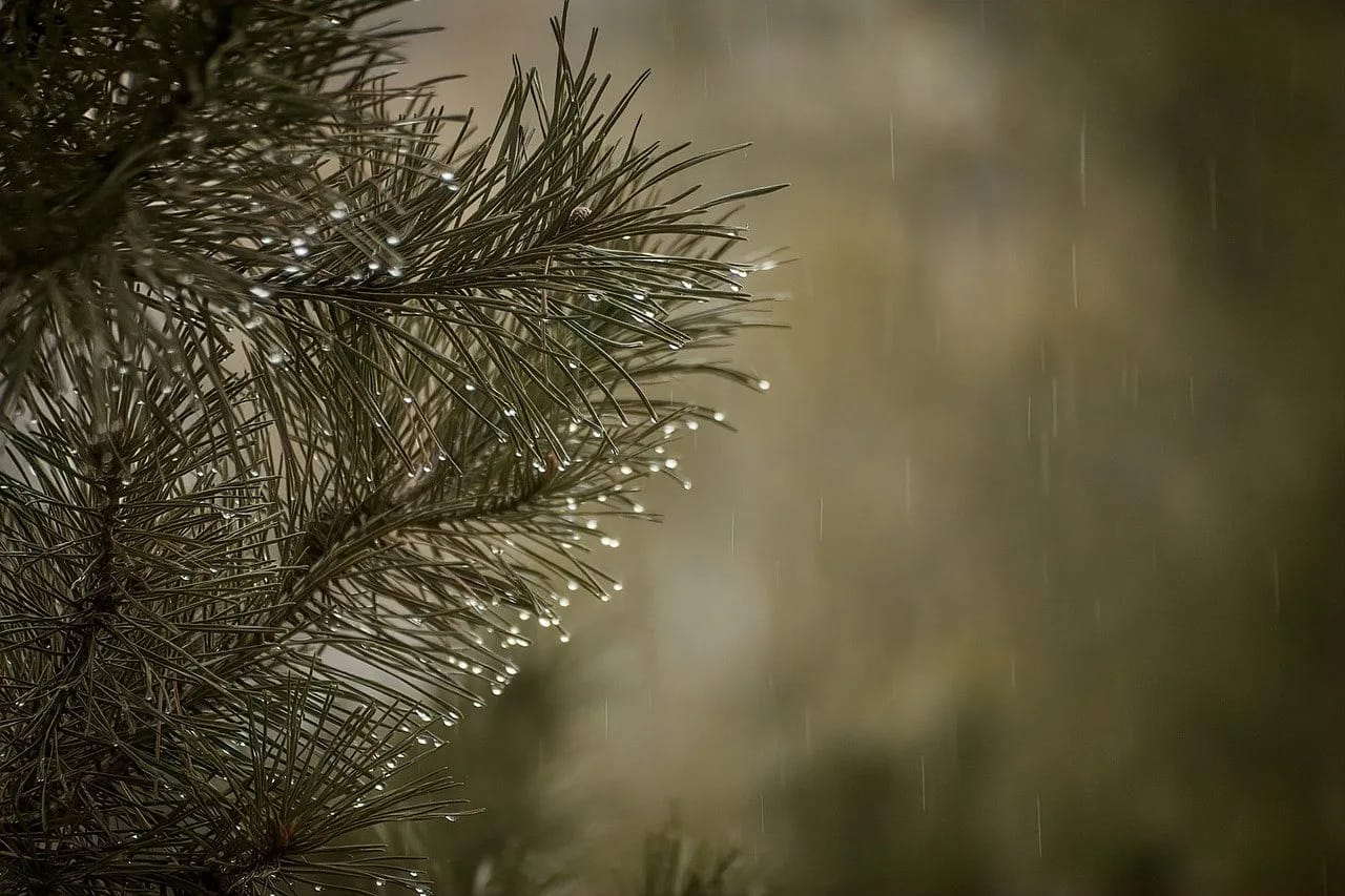 Read more about the article Indoor Hobbies for Women: Fun Activities for Rainy Days